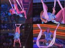 Анастасия Стоцкая